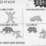 황당~ 곰 만났을 때 <b>행동요령</b>