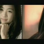 소속사 가수 뮤비 최다출연 이연희