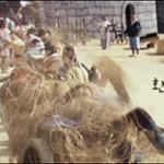 [홍길동] <b>빗물</b> 받아먹는 길동이