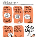[360c] <b>show</b>에 관하여