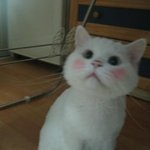 오늘은 <b>화장</b>에 <b>신경</b> 좀 썼어~