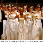 화려한 <b>비엔나</b>의 명품 무도회로 초대합니다!!