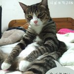 [애기 &amp; 미고] 묘쌍 데뷔앨범 발매<b>임박</b>