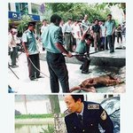 와 초섹시 이거보면 진짜 미친다