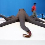 세계 최대 규모의 무대미술 전시회 '도큐멘타 12 아트페어'