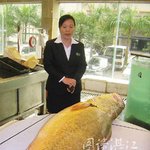 7천만원 물고기~황금맹어