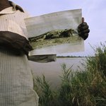 <b>식인</b> 악어, 300백명을 앗아간 구스 타브 gustave 사진!...