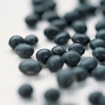 콩고기 만드는 법과 콩고기 요리 레시피!