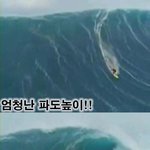 엄청난 파도의 높이 시원해!