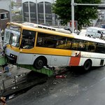 나도 <b>육교</b>를 건너보고 싶었어요...
