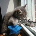 무서운 고양이 괴물.......