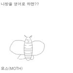 엄마<b>나방</b>을 영어로 하면..?
