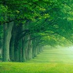 알아두면 좋은 생활속 지혜