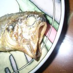 <b>뭉크</b>의 절규!