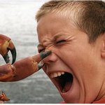 만화에서 '갑툭튀'한 듯한 <b>동물</b>들~최고!