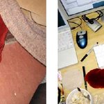 깜짝이야! 왜 죽은척 하고 <b>지롤</b>이야~