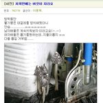 대걸레에도 <b>버섯</b>이 자란다?