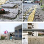 달팽이보다 작은 인형으로 보는 세상~