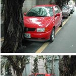 외국 주차의 <b>달인</b>~