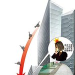 고양이 <b>충돌</b> 사건