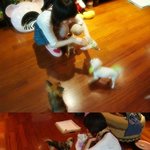 강아지 너무 좋아 하는 손가인 러블리한 직찍~