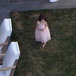 핑크드레스 입은 '요정'수리, 집 <b>앞마당</b>에서 노는 모습!