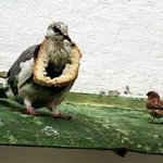<b>우와</b>! 그 목걸이 어디서 샀어???