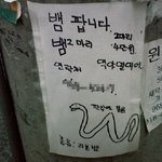 <b>뱀</b> 팔아서 돈버는 초등학생