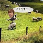 단지 조금 <b>신이</b> 났던 보아, 결국 이런 결과가!!