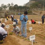 긴급출동 <b>sos</b> '현대판 노예' 이흥규 할아버지 최근모습