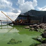 '녹즙' 같은 <b>녹색</b>으로 변해버린 호수