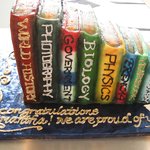 다양한 모양의 <b>케익</b>