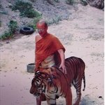 태국의 호랑이<b>사원</b>~