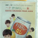 일본의 '갈아만든 배' 광고 속 김희선!