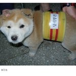 <b>김병장</b> 특별한 휴가를 보내다