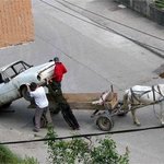 시방 뭣이 뭣을 싣는 <b>거여</b>?