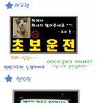 초보 <b>운전자</b>의 경고장 ㅎㅎㅎ