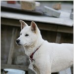 환상의 커플 내면 연기 <b>달인</b>은.. 꽃순이!