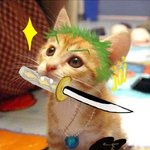 원피스 - 고양이 버젼..ㅎㅎ;