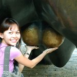 <b>황소</b>상, 여성들에게 인기좋은 이유