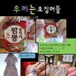 [모아모아] 오징어 보호 차량에 털실 오징어ㅋㅋ