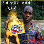<b>개구리</b>의 <b>알</b>사랑