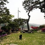 안연홍 집 공개! 정원<b>부지</b>까지 하면 몇 평?