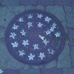 <b>맨홀</b> 뚜껑에 한 꽃꽂이