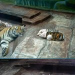 옷 벗으면 <b>즉사</b>