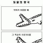 <b>악어</b> 입의 비밀