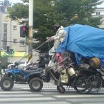 중국 못지않은 <b>울산</b> 기인!