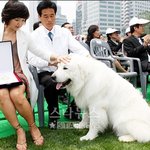 동물 홍보<b>대사</b>로 임명된 상근이~귀여워!