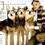 웃긴 <b>개사진</b>