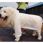 "내 털은 소중하니까요" 우비입은 상근이! 완전기염!